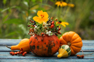 Georgs Kuerbishof Inchenhofen Dekoidee Zierkuerbisse - georgs-kuerbishof.de