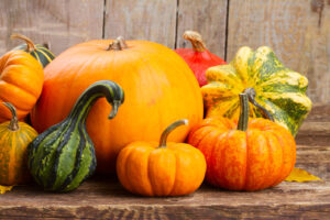 Georgs Kuerbishof Inchenhofen Dekoidee Zierkuerbisse - georgs-kuerbishof.de