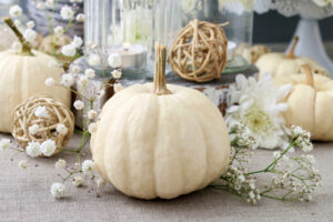 Georgs Kuerbishof Inchenhofen Dekoidee Zierkuerbisse - georgs-kuerbishof.de